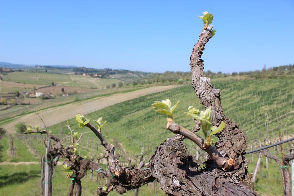 Bio Agriturismo Podere Pretoia San Gimignano Eksteriør billede