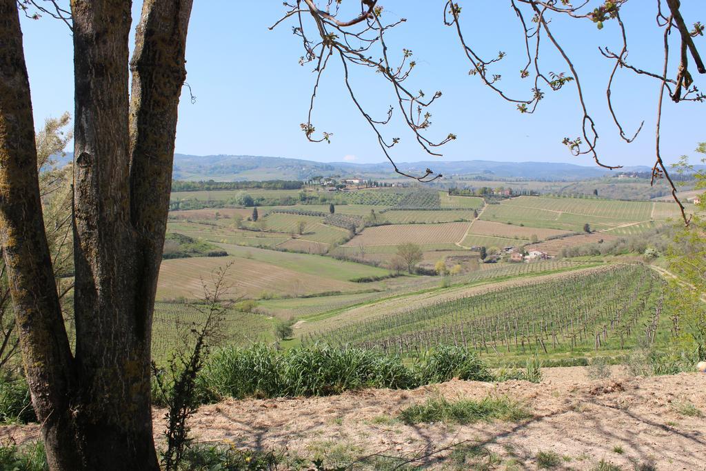 Bio Agriturismo Podere Pretoia San Gimignano Eksteriør billede